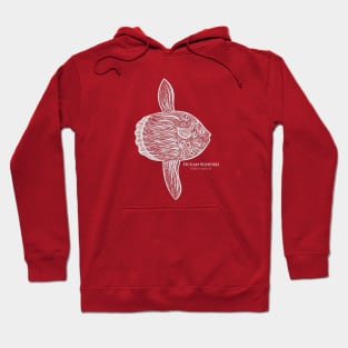 Ocean Sunfish or Mola with Common and Scientific Names - fish art Hoodie